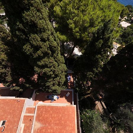 מלון Casa Schiattarella קאפרי מראה חיצוני תמונה