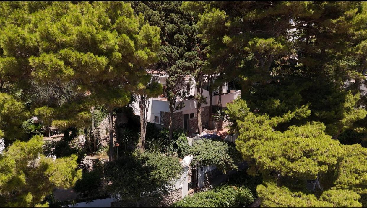 מלון Casa Schiattarella קאפרי מראה חיצוני תמונה